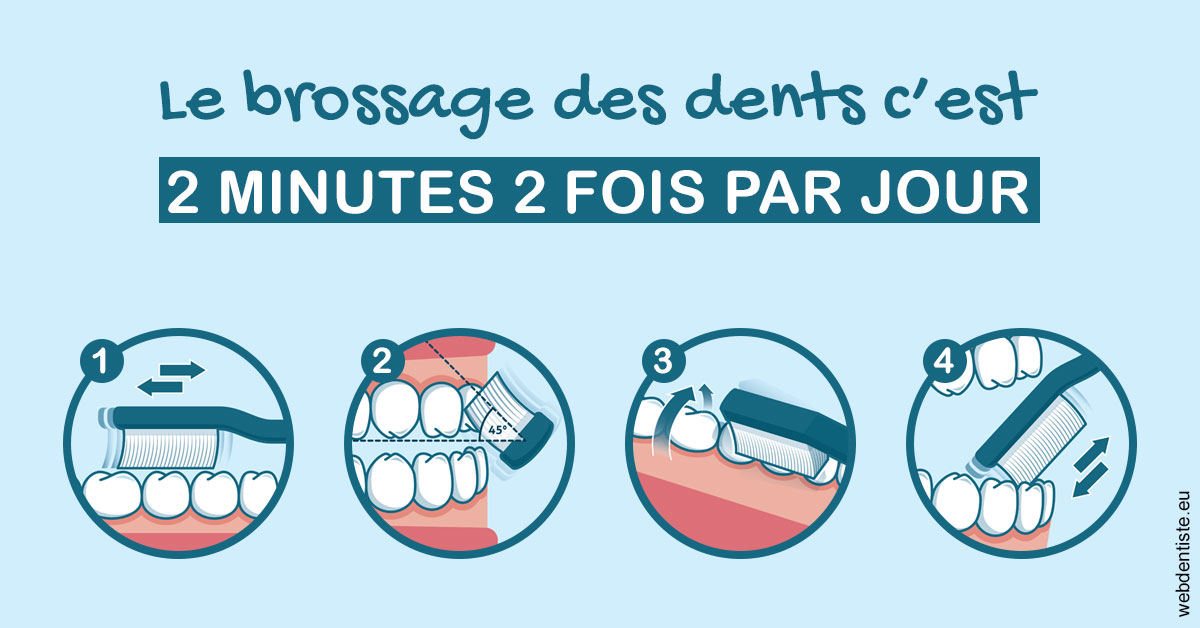 https://www.drlaparra.fr/Les techniques de brossage des dents 1