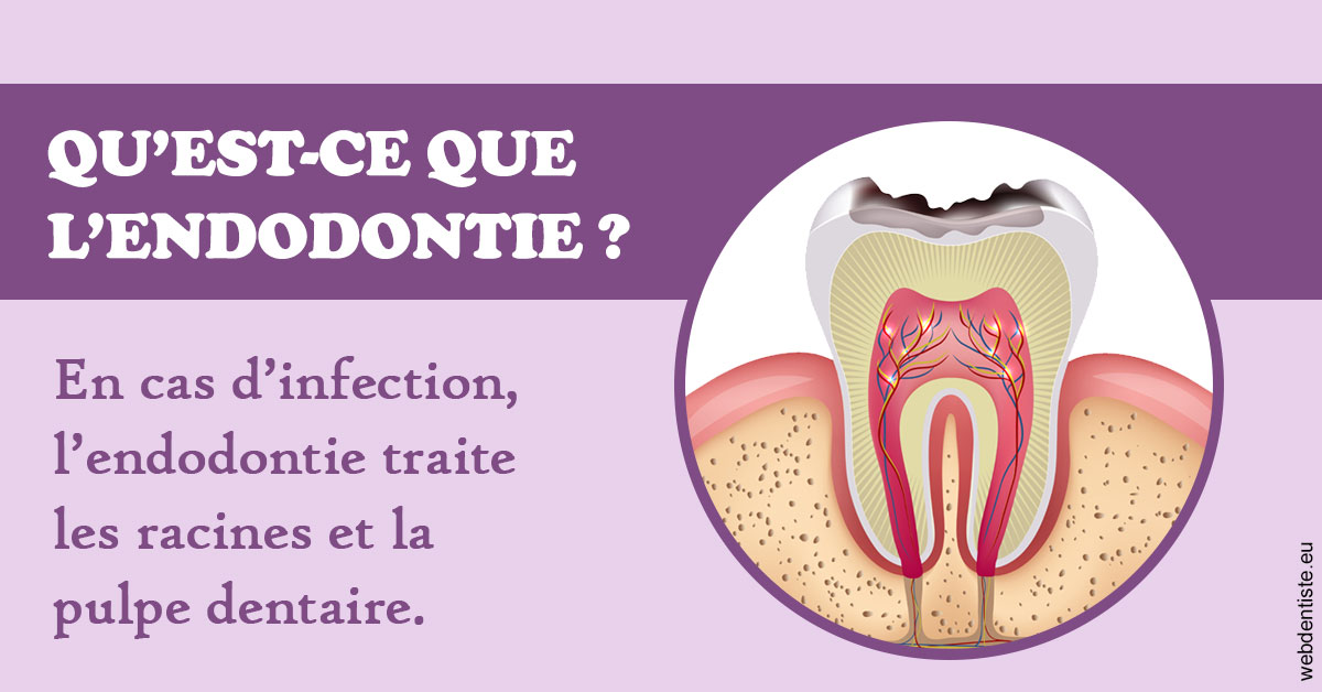 https://www.drlaparra.fr/2024 T1 - Endodontie 02
