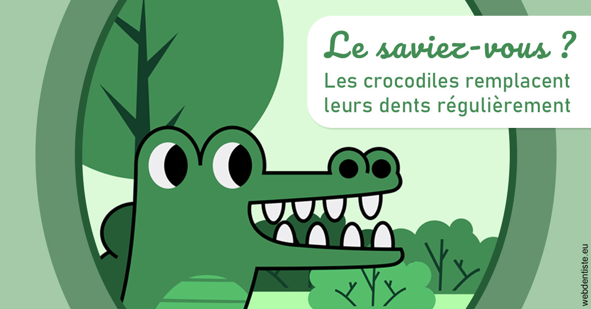 https://www.drlaparra.fr/Crocodiles 2