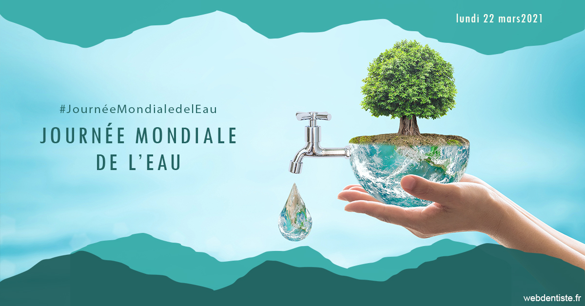 https://www.drlaparra.fr/Journée de l'eau 1