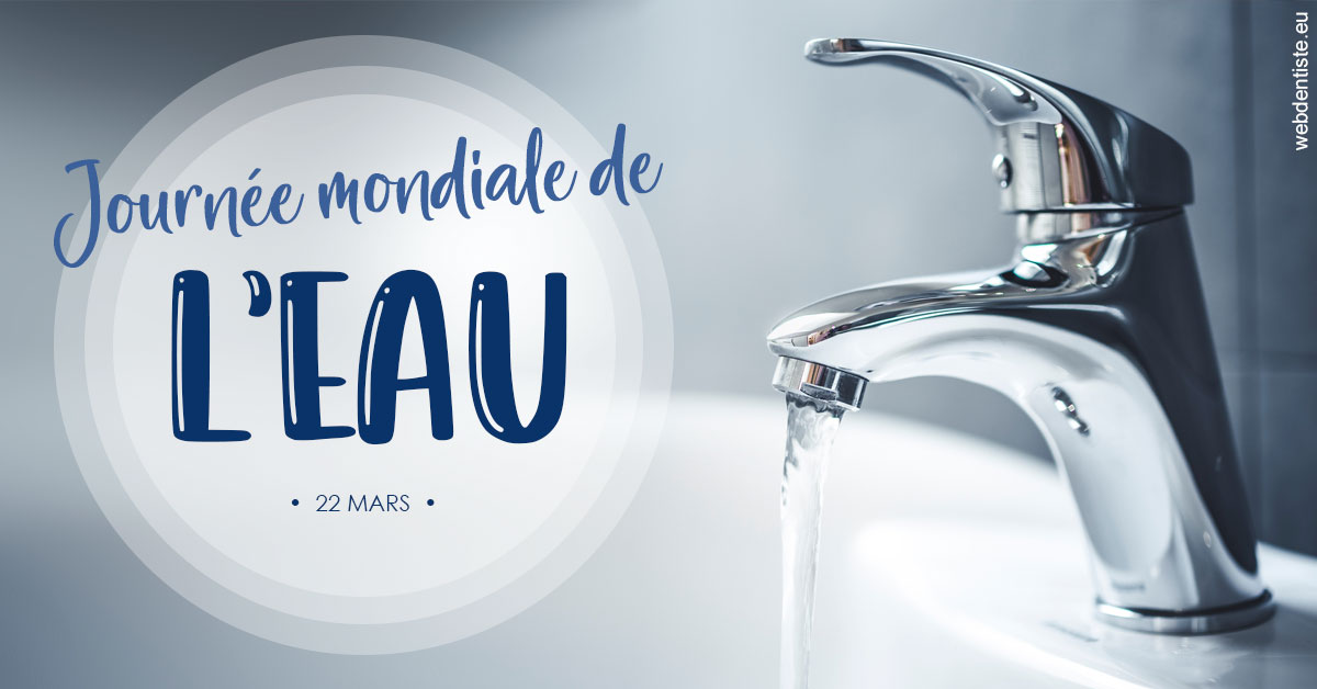 https://www.drlaparra.fr/La journée de l'eau 2