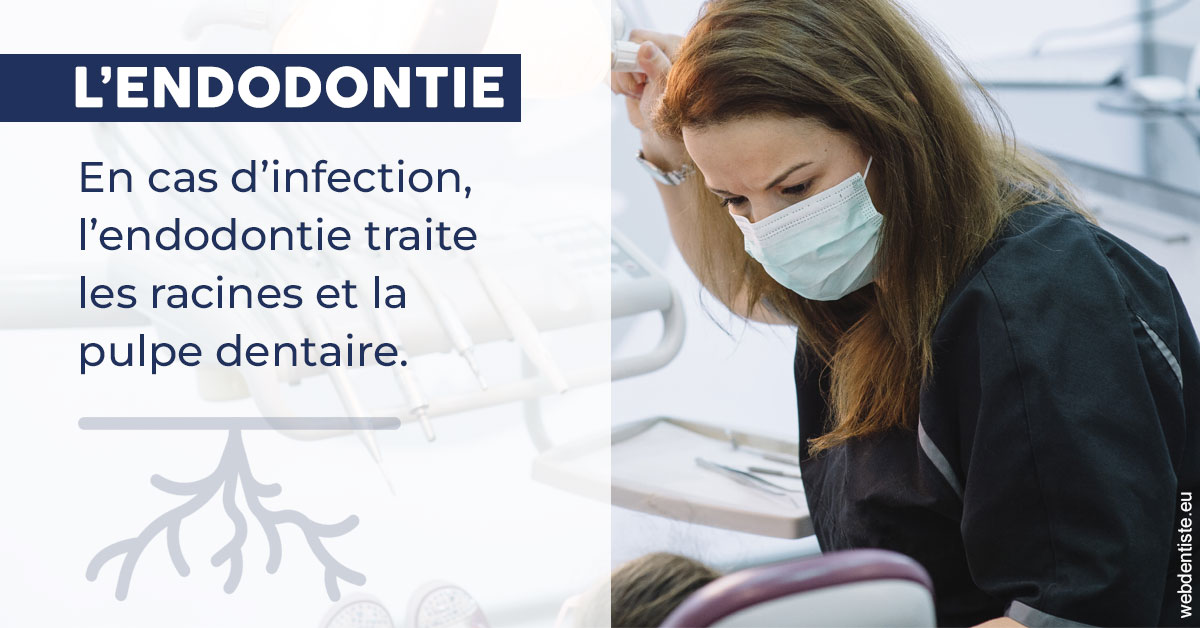 https://www.drlaparra.fr/L'endodontie 1