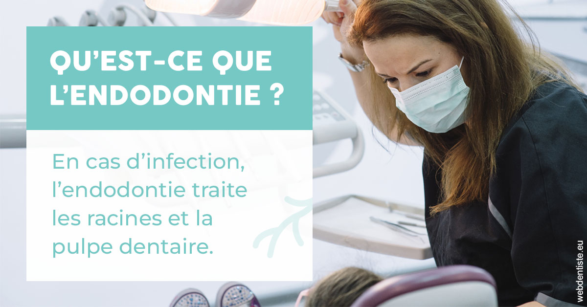 https://www.drlaparra.fr/2024 T1 - Endodontie 01