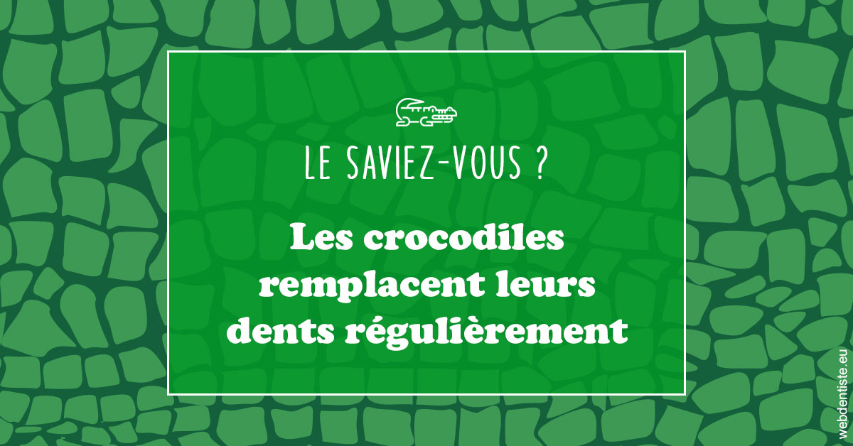 https://www.drlaparra.fr/Crocodiles 1